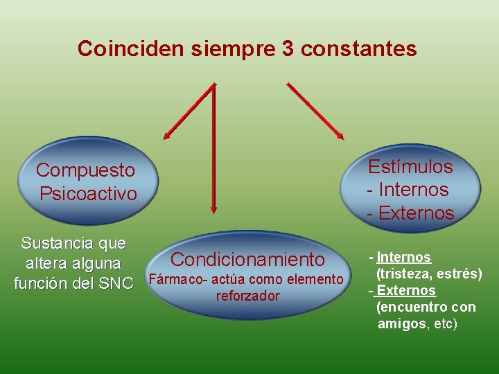 Coinciden siempre 3 constantes Estímulos - Internos - Externos Compuesto Psicoactivo Sustancia que Condicionamiento