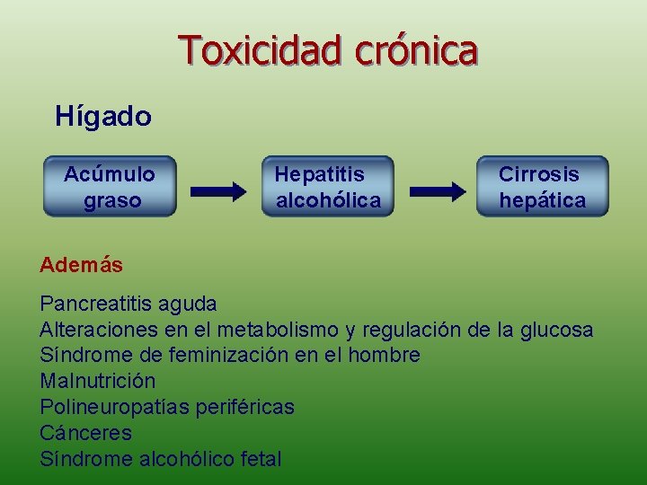 Toxicidad crónica Hígado Acúmulo graso Hepatitis alcohólica Cirrosis hepática Además Pancreatitis aguda Alteraciones en