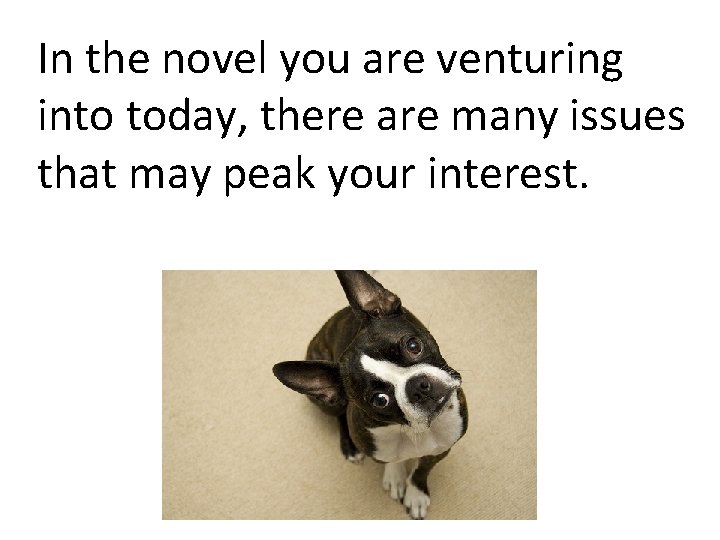 In the novel you are venturing into today, there are many issues that may