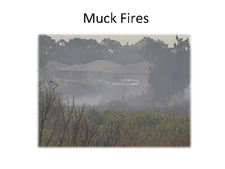 Muck Fires 