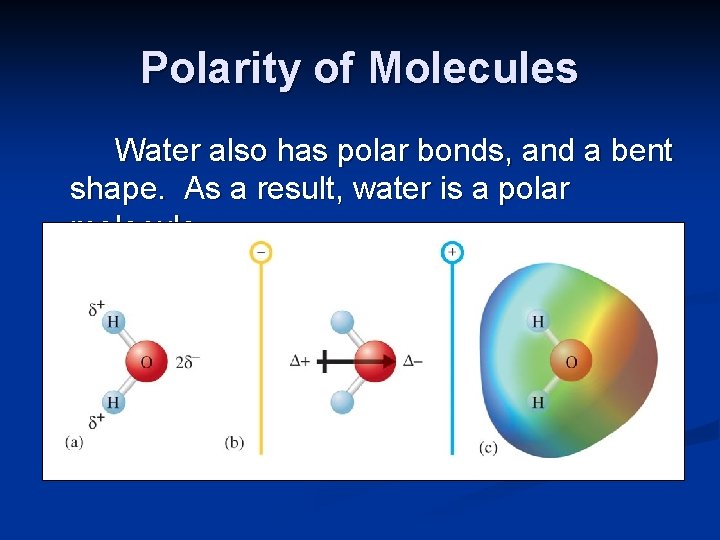 Polarity of Molecules Water also has polar bonds, and a bent shape. As a