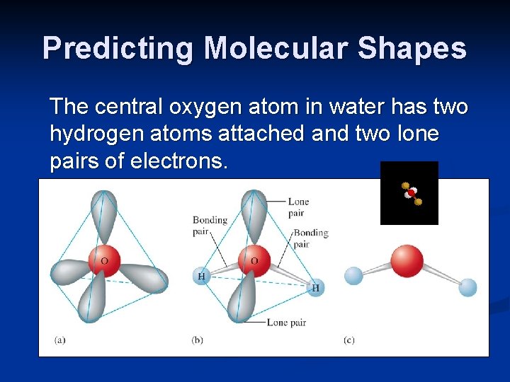 Predicting Molecular Shapes The central oxygen atom in water has two hydrogen atoms attached