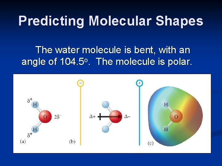 Predicting Molecular Shapes The water molecule is bent, with an angle of 104. 5