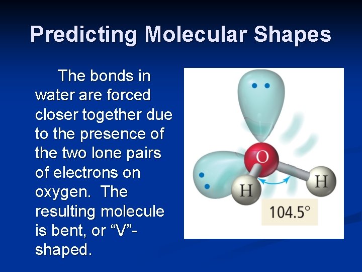 Predicting Molecular Shapes The bonds in water are forced closer together due to the