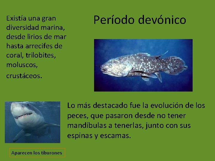 Existía una gran diversidad marina, desde lirios de mar hasta arrecifes de coral, trilobites,