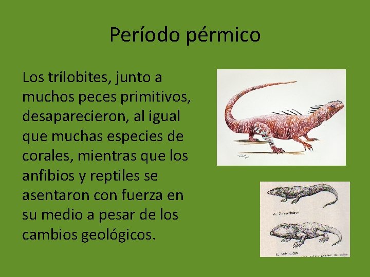 Período pérmico Los trilobites, junto a muchos peces primitivos, desaparecieron, al igual que muchas