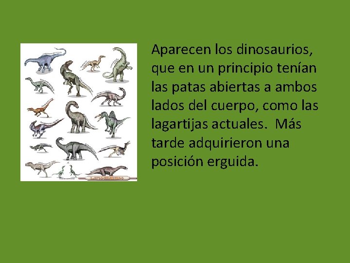 Aparecen los dinosaurios, que en un principio tenían las patas abiertas a ambos lados