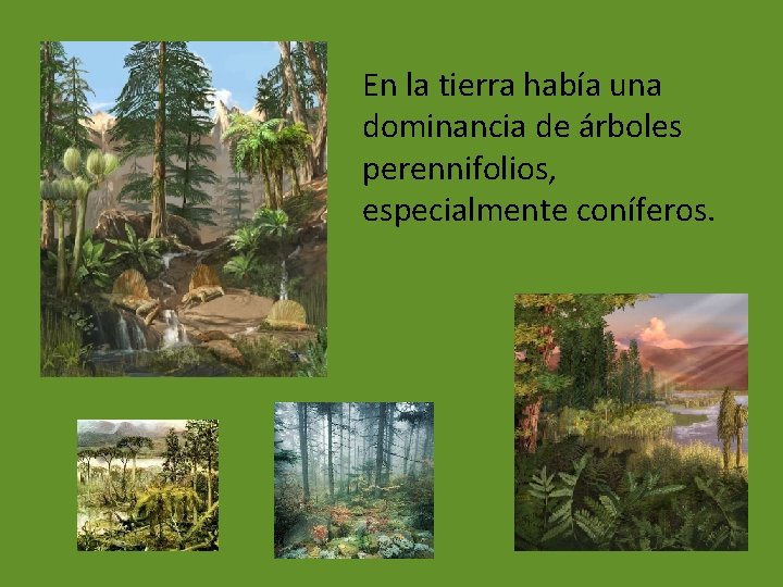 En la tierra había una dominancia de árboles perennifolios, especialmente coníferos. 