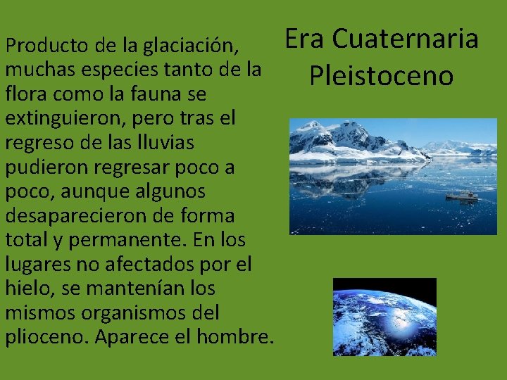 Producto de la glaciación, muchas especies tanto de la flora como la fauna se