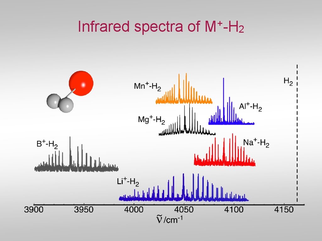 Infrared spectra of + M -H 2 