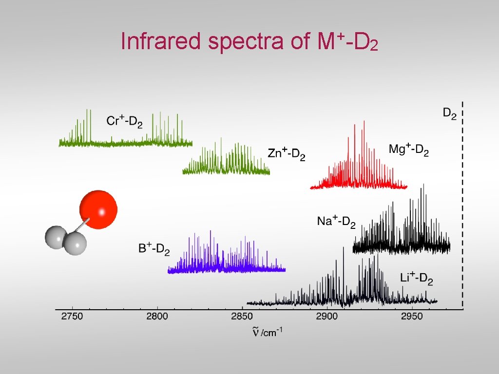 Infrared spectra of + M -D 2 