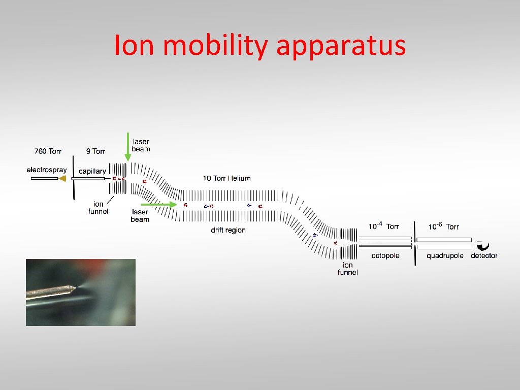Ion mobility apparatus 