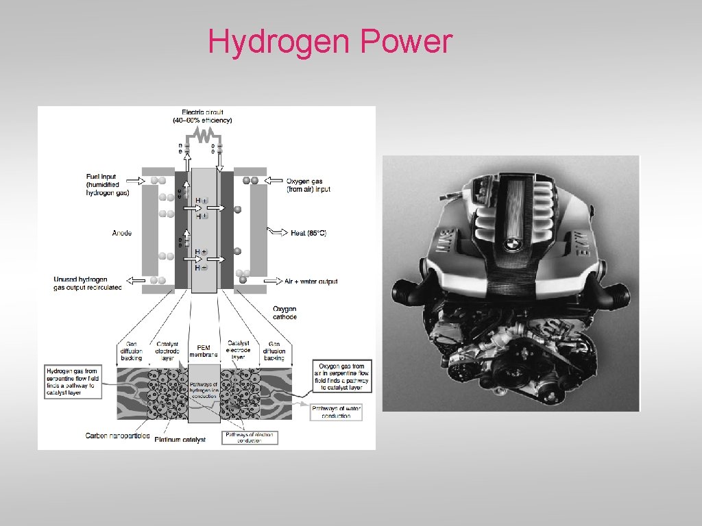 Hydrogen Power 