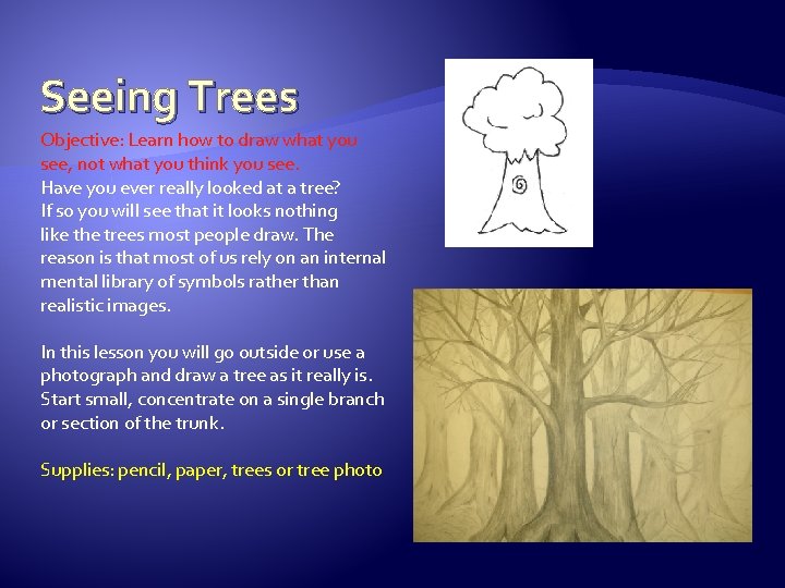 Seeing Trees Objective: Learn how to draw what you see, not what you think