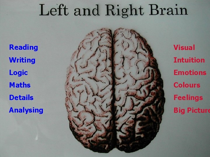 Reading Visual Writing Intuition Logic Emotions Maths Colours Details Feelings Analysing Big Picture www.