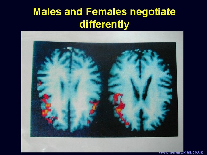 Males and Females negotiate differently www. derekarden. co. uk 