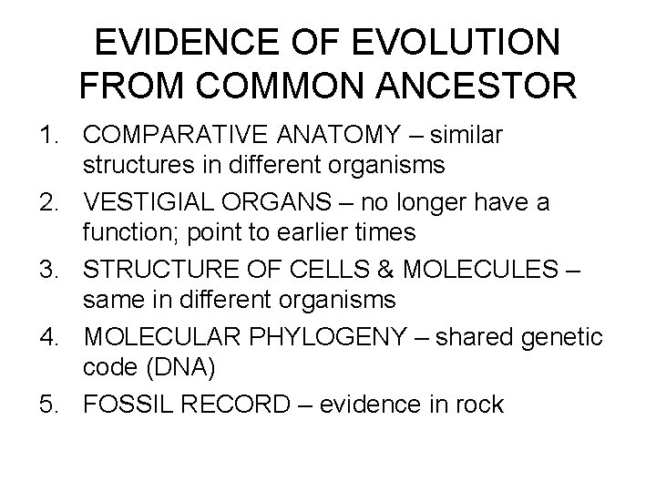 EVIDENCE OF EVOLUTION FROM COMMON ANCESTOR 1. COMPARATIVE ANATOMY – similar structures in different