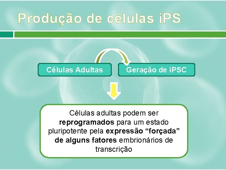 Produção de células i. PS Células Adultas Geração de i. PSC Células adultas podem
