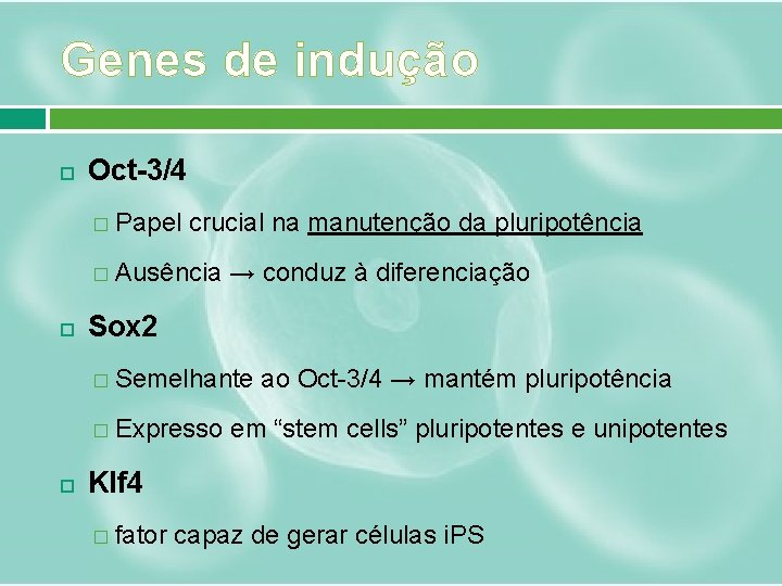 Genes de indução Oct-3/4 � Papel crucial na manutenção da pluripotência � Ausência →