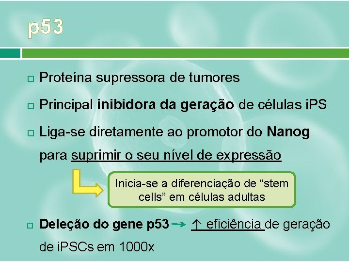 p 53 Proteína supressora de tumores Principal inibidora da geração de células i. PS