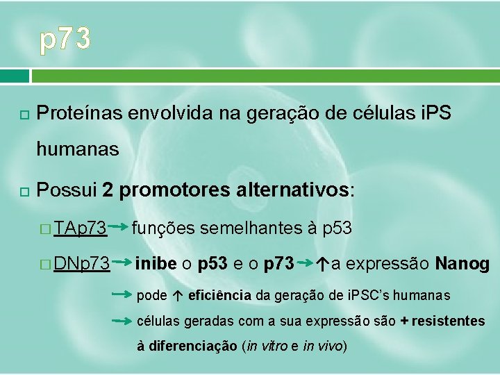 p 73 Proteínas envolvida na geração de células i. PS humanas Possui 2 promotores