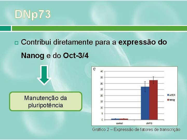 DNp 73 Contribui diretamente para a expressão do Nanog e do Oct-3/4 Manutenção da