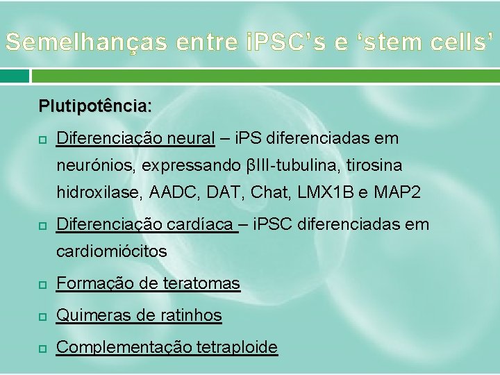 Semelhanças entre i. PSC’s e ‘stem cells’ Plutipotência: Diferenciação neural – i. PS diferenciadas