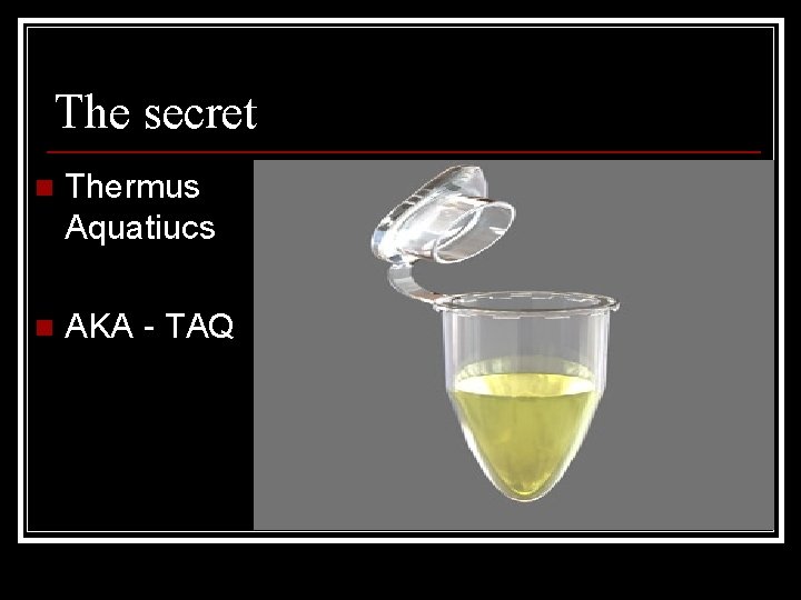 The secret n Thermus Aquatiucs n AKA - TAQ 