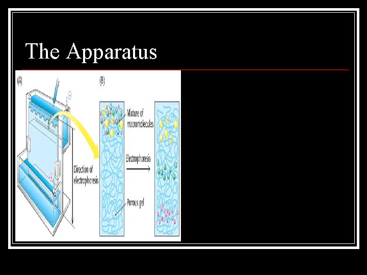 The Apparatus 