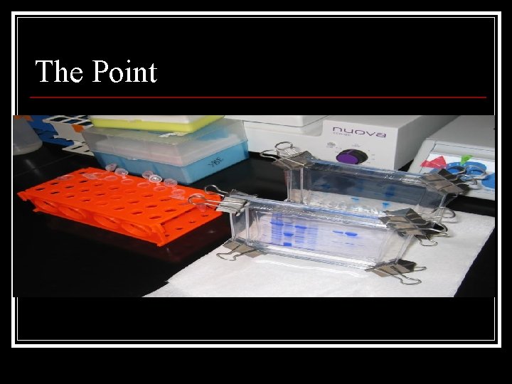 The Point 