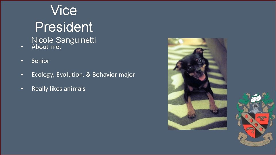 Vice President • Nicole Sanguinetti About me: • Senior • Ecology, Evolution, & Behavior