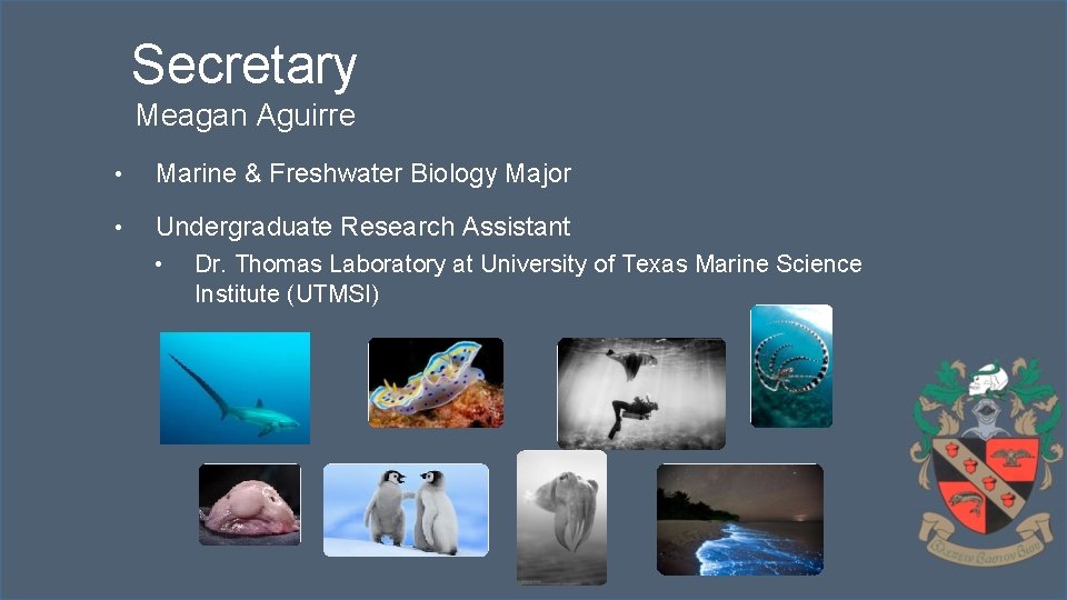 Secretary Meagan Aguirre • Marine & Freshwater Biology Major • Undergraduate Research Assistant •