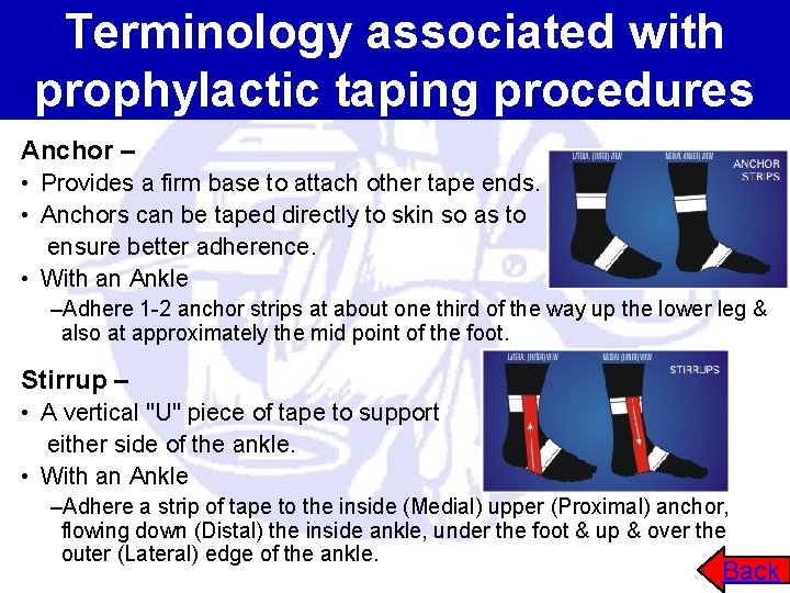 Terminology associated with prophylactic taping procedures Anchor – • Provides a firm base to