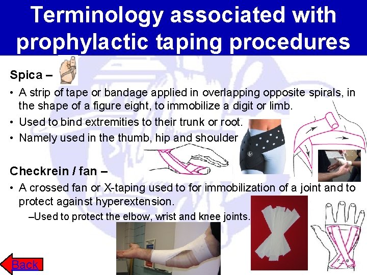 Terminology associated with prophylactic taping procedures Spica – • A strip of tape or