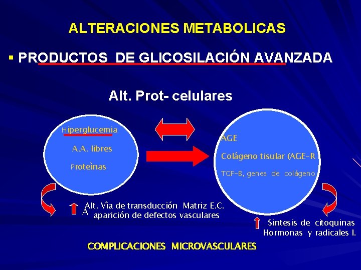  ALTERACIONES METABOLICAS § PRODUCTOS DE GLICOSILACIÓN AVANZADA Alt. Prot- celulares Hiperglucemia A. A.