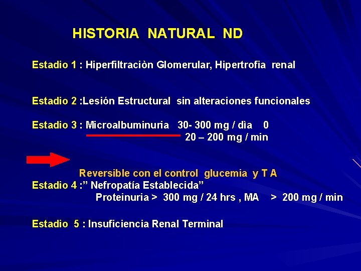  HISTORIA NATURAL ND Estadio 1 : Hiperfiltraciòn Glomerular, Hipertrofia renal Estadio 2 :
