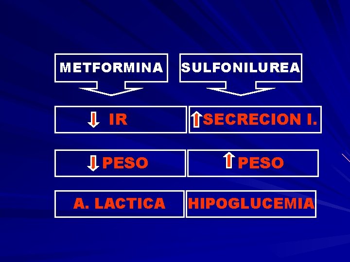 METFORMINA IR PESO A. LACTICA SULFONILUREA SECRECION I. PESO HIPOGLUCEMIA 
