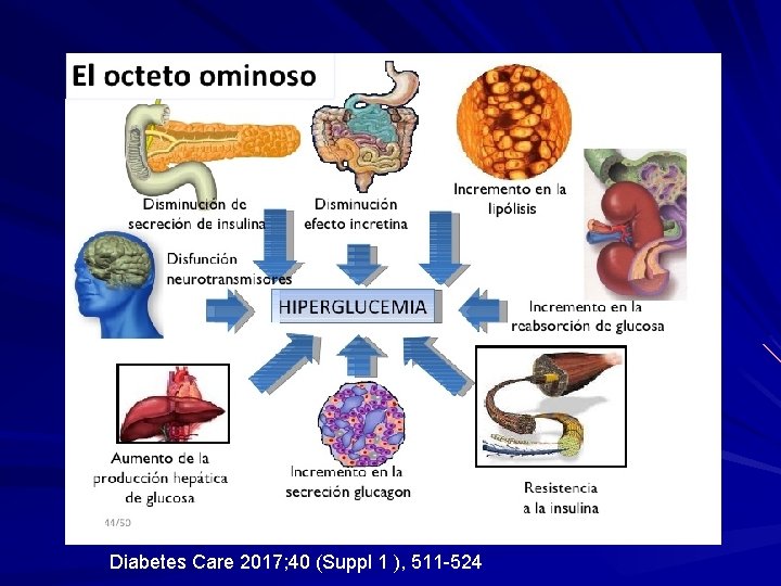 Diabetes Care 2017; 40 (Suppl 1 ), 511 -524 