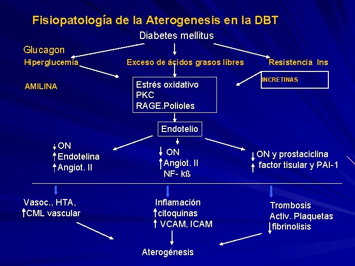 Fisiopatología de la Aterogenesis en la DBT Diabetes mellitus Glucagon Hiperglucemia AMILINA Exceso de