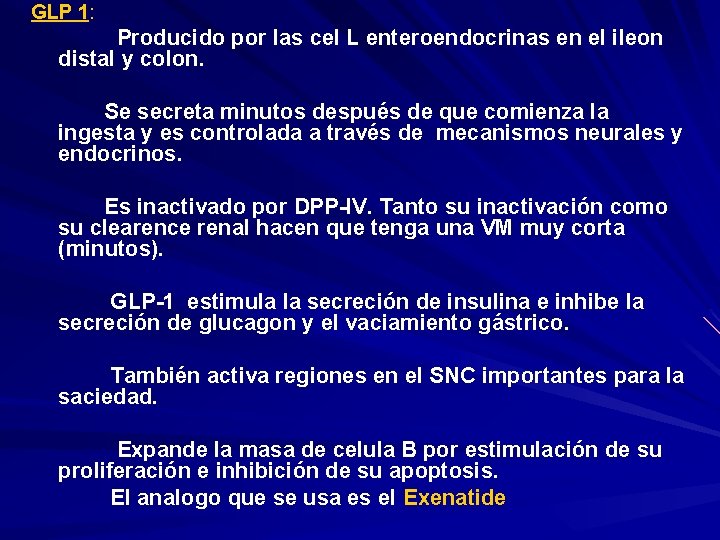 GLP 1: Producido por las cel L enteroendocrinas en el ileon distal y colon.