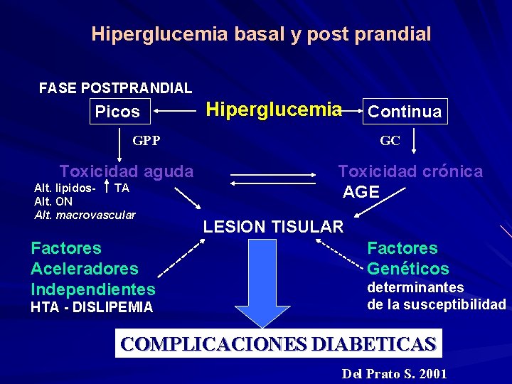 Hiperglucemia basal y post prandial FASE POSTPRANDIAL Hiperglucemia Picos GPP Toxicidad aguda Alt. lipidos-