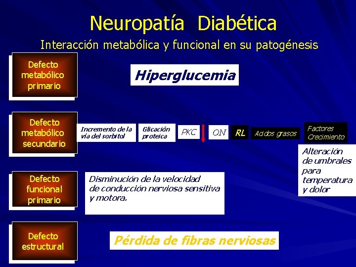 Neuropatía Diabética Interacción metabólica y funcional en su patogénesis Defecto metabólico primario Defecto metabólico