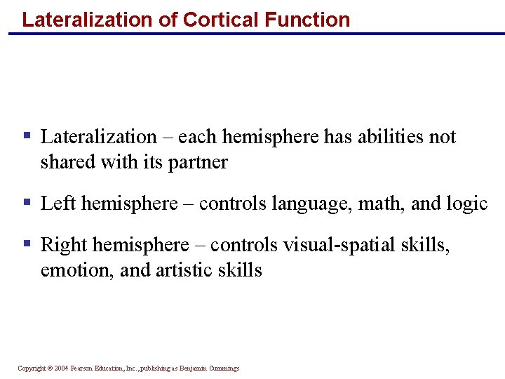 Lateralization of Cortical Function § Lateralization – each hemisphere has abilities not shared with