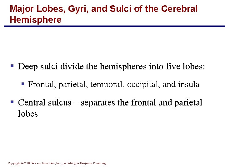 Major Lobes, Gyri, and Sulci of the Cerebral Hemisphere § Deep sulci divide the