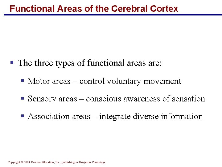 Functional Areas of the Cerebral Cortex § The three types of functional areas are: