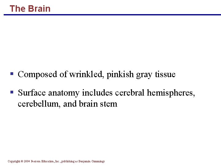 The Brain § Composed of wrinkled, pinkish gray tissue § Surface anatomy includes cerebral