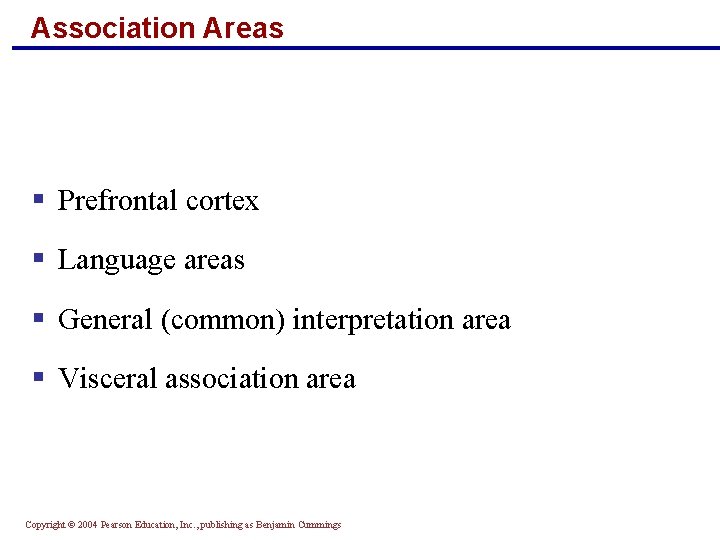 Association Areas § Prefrontal cortex § Language areas § General (common) interpretation area §