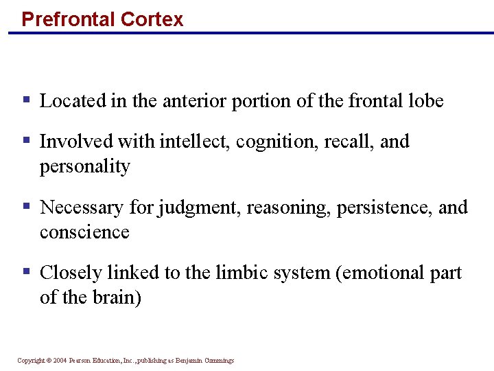 Prefrontal Cortex § Located in the anterior portion of the frontal lobe § Involved