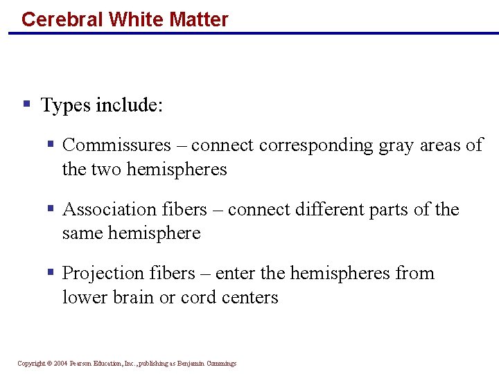 Cerebral White Matter § Types include: § Commissures – connect corresponding gray areas of