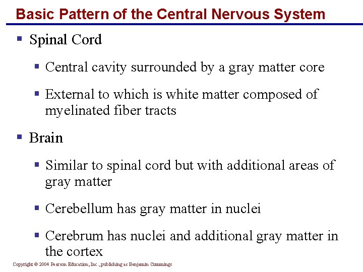 Basic Pattern of the Central Nervous System § Spinal Cord § Central cavity surrounded